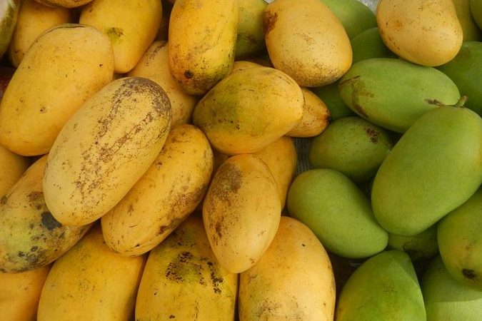 Mangoes-fruits
