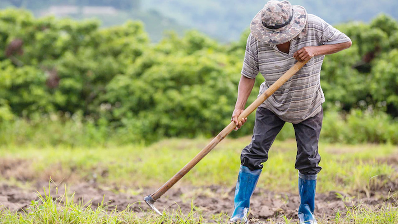 agriculture-farmer