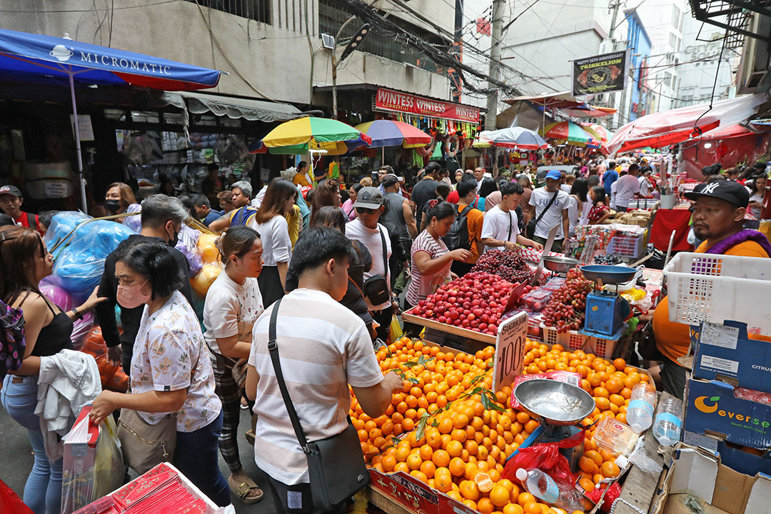 Fruits market-shopper-wc