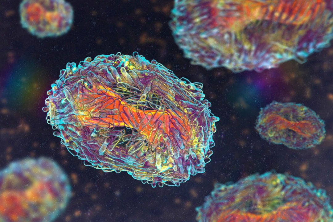 mpox virus illustration