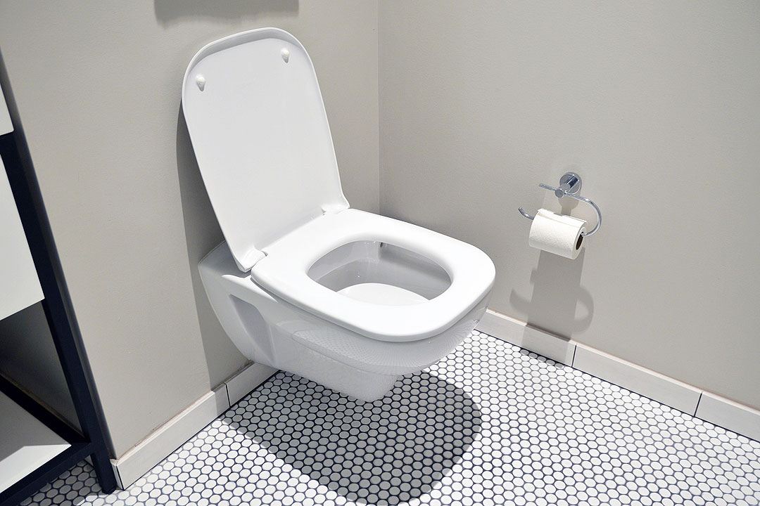 toilet-bowl
